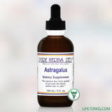 Astragalus