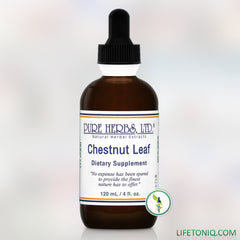 Chestnut Leaf