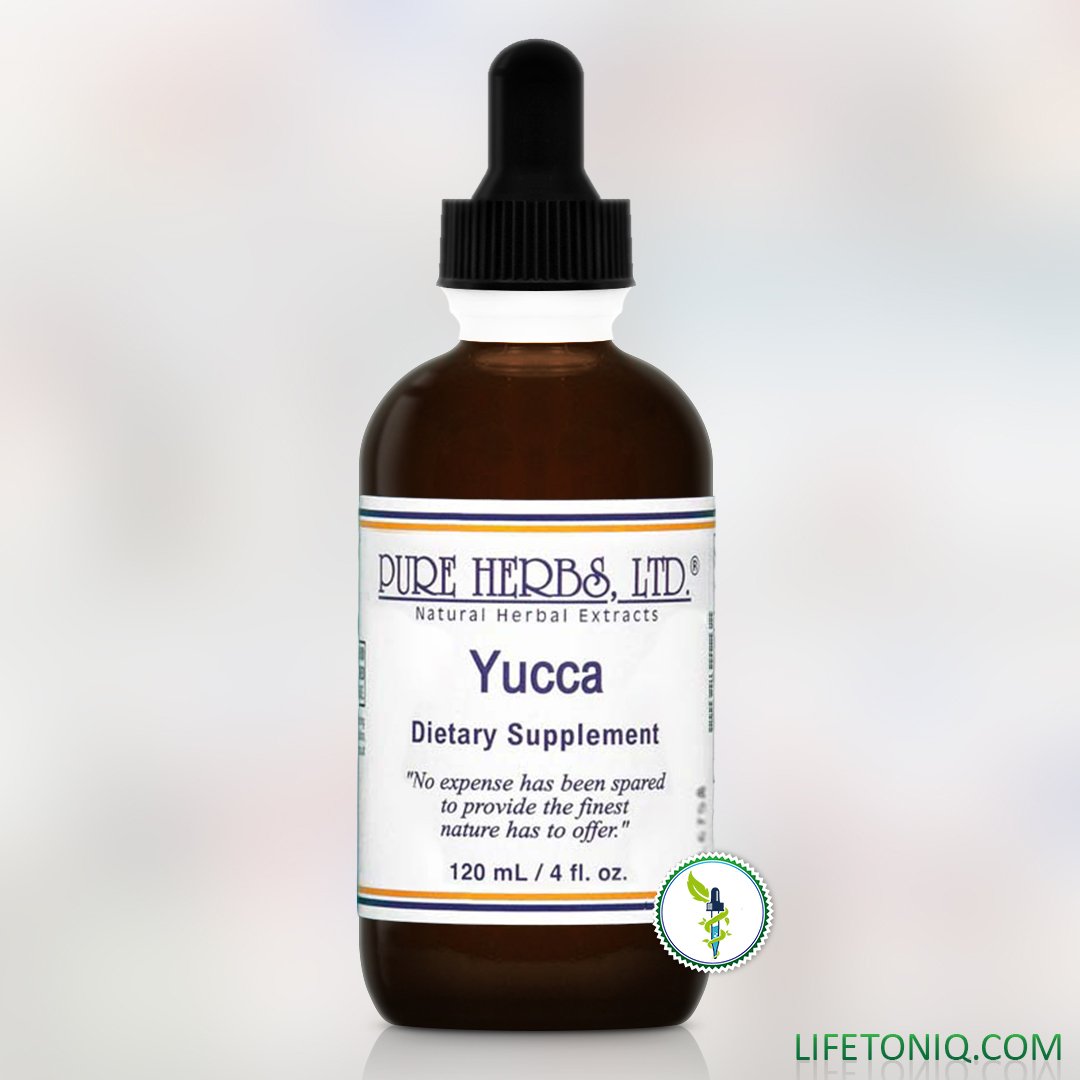 Yucca Root Extract Benefits Buying Discounts alyasmin.edu.sa