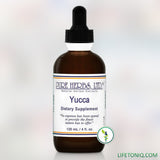 Yucca